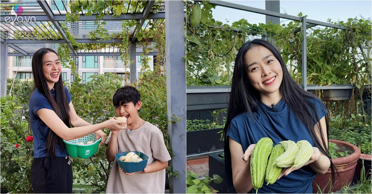 Khu vườn trên cao