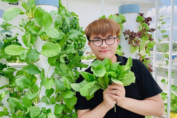 Mô tả khu vườn rau sạch