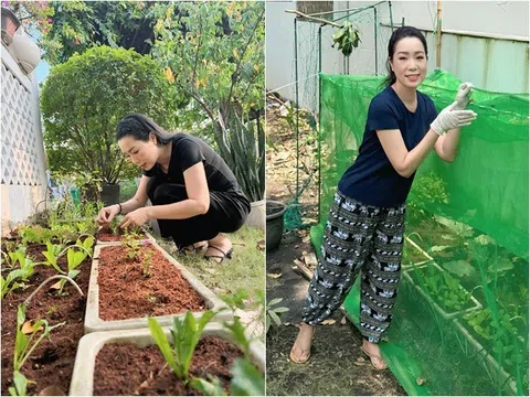 Tâm trạng và quá trình trồng rau