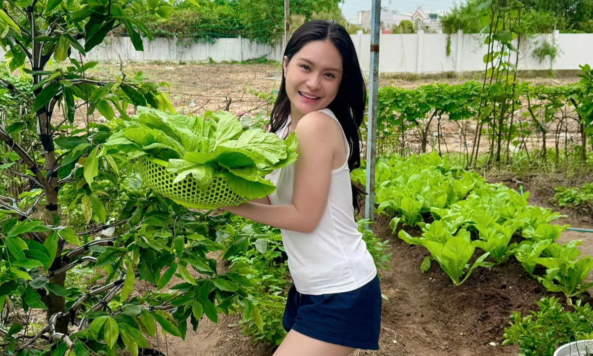 Thông tin về khu vườn rau